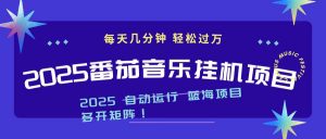 2025最新挂机番茄音乐项目,每天几分钟,日入1000+-识享社