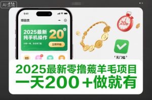 2025最新零撸薅羊毛项目，纯手机操作，20秒一单，无任何门槛，一天200+做就有【揭秘】-识享社