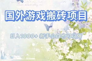 国外游戏搬砖项目，日入1k+，全自动解放双手，新手小白也可做【揭秘】-识享社