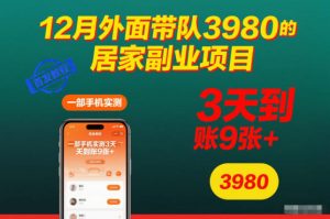 12月外面带队3980的居家副业项目，一部手机实测3天到账9张+，首发教程【揭秘】-识享社