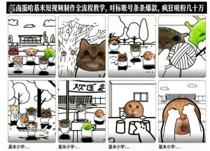 卤蛋哈基米短视频制作全流程教学，条条爆款，疯狂吸粉几十万-识享社