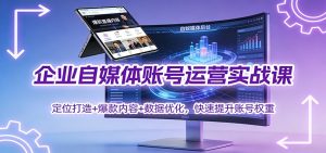 企业自媒体账号运营实战课：定位打造+ 爆款内容+数据优化，快速提升账号权重-识享社
