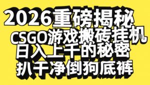 2026开年重磅解密，CSGO游戏搬砖挂G日入1k+的秘密，把倒狗的底裤扒干【揭秘】-识享社