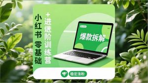 小红书零基础+高阶训练营：安全养号、爆款拆解、长效运营，实现稳定涨粉与变现-识享社
