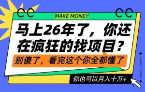 26年了,不要再疯狂的找项目了,看完这个你也可以月入十个W【揭秘】-识享社