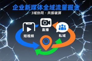 短视频全域商业模式，企业新媒体全域流量掘金，3域协同，共振破屏，短视频-直播-私域-地域-识享社