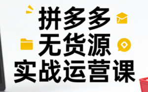 子枫老师·拼多多无货源实战运营课(更新12月)-识享社