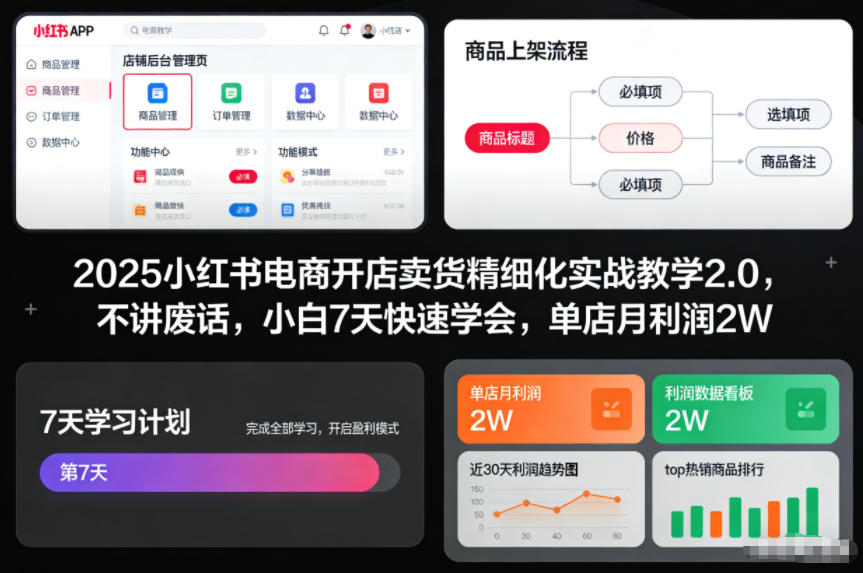 2025小红书电商开店卖货精细化实战教学2.0，不讲废话，小白7天快速学会，单店月利润2W - 识享社-识享社