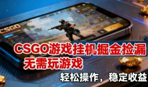 CSGO游戏挂G掘金捡漏，不需要玩游戏，操作简单，收益稳定【揭秘】-识享社