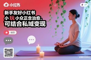 新手友好小红书小众正念治愈，玩法简单，可结合私域变现-识享社