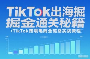 TikTok出海掘金通关秘籍，TikTok跨境电商全链路实战教程-识享社