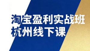 淘宝盈利实战班杭州线下课12月26-28日(音频+字幕)，帮你掌握SOP流程+12门核心技术-识享社