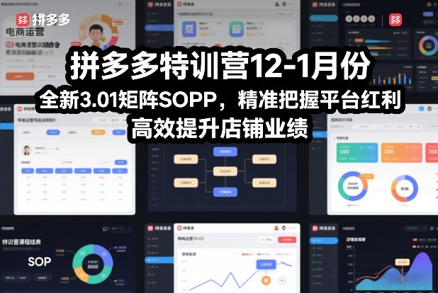 拼多多特训营12-1月份，全新3.01矩阵Sop，精准把握平台红利，高效提升店铺业绩 - 识享社-识享社
