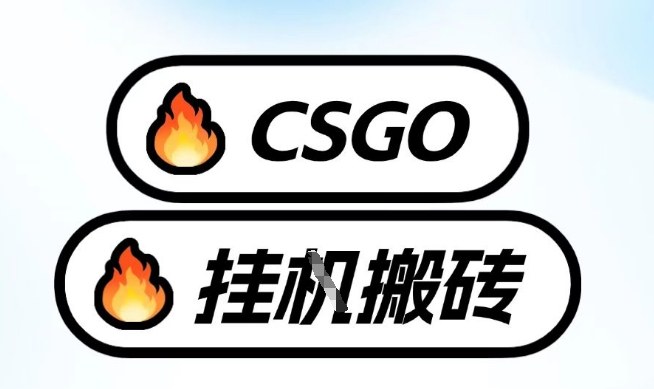 真全网独家CSGO挂G，最新玩法,单日捡漏1K+，不用电脑，不用打游戏【揭秘】-识享社