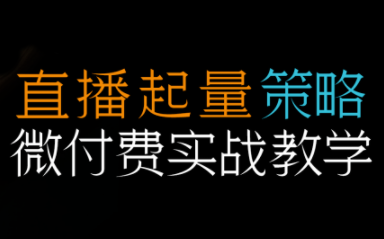 半野老师·直播带货起量与微付费必学课视频号(更新2026) - 识享社-识享社