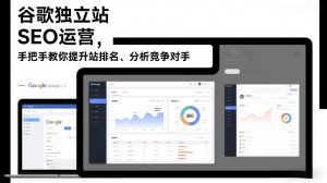 谷歌独立站SEO运营，手把手教你提升网站排名、分析竞争对手(更新2026)-识享社