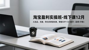 淘宝盈利实操班-线下课12月，从选品、流量、转化到渠道拓展，掌握SOP+12门技术(音频+字幕-识享社