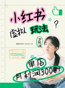 小红书虚拟玩法(铺货流和单品玩法)，单店月利润3000+，IP打法+原创商品(0违规)-识享社