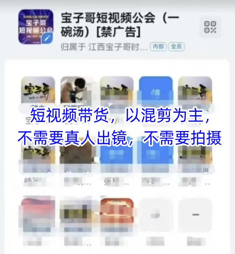 宝子哥头部团队短视频带货，以混剪为主，不需要真人出镜，不需要拍摄【更新12月】 - 识享社-识享社
