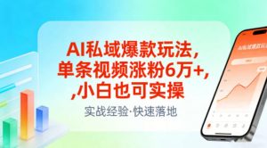 AI私域爆款玩法，单条视频涨粉6W+，小白也可实操-识享社