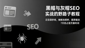 黑帽与灰帽SEO实战的野路子教程：泛目录秒收，蜘蛛池搭桥，霸屏截流，7天抢占首页暴利词-识享社