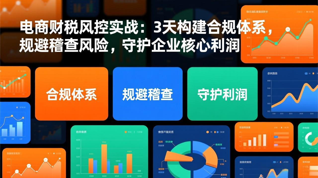 电商财税风控实战：3天构建合规体系，规避稽查风险，守护企业核心利润 - 识享社-识享社