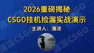 CSGO游戏挂机游戏搬砖最新升级，普通小白一部手机可日入300+当天见结果，支持验证-识享社