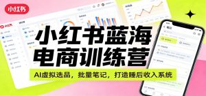 小红书蓝海电商训练营：AI虚拟选品，批量笔记，打造睡后收入系统-识享社