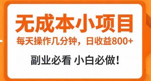 无成本小项目 每天操作几分钟，真实日收益800+ 副业必看 小白必做！-识享社