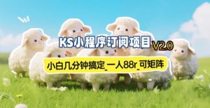 【新一期】小程序订阅_小白几分钟70-80r，可矩阵(已测到账)-识享社