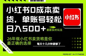 小红书0成本AI卖货，单账号轻松日入500+，完全托管AI，可矩阵放大-识享社