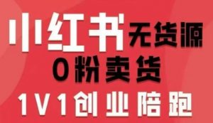 小红书无货源0粉电商课,开店准备、选品策略、笔记撰写、视频剪辑、数据分析、账号打造、资料文档(更新26年2月)-识享社