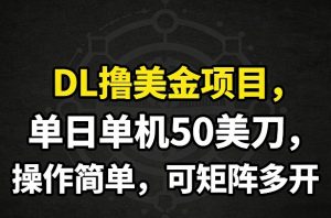 DL撸美金项目,单日单机50美刀,操作简单,可矩阵多开-识享社