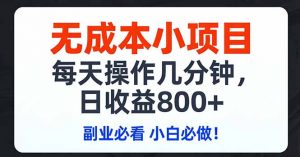 无成本小项目,每天操作几分钟,日收益800+ 副业必看 小白必做！-识享社
