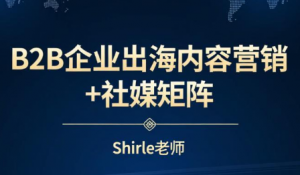 shirle老师·B2B企业出海内容营销+社媒矩阵-识享社