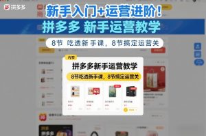 新手入门+运营进阶！拼多多新手运营教学，8节吃透新手课，8节搞定运营关-识享社