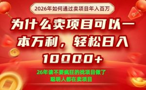 一单净利润1K+,26年想年入100个W,死磕卖项目就够了【揭秘】-识享社