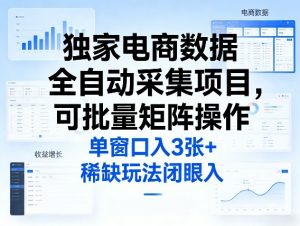 独家电商数据全自动采集项目，可批量矩阵操作，单窗口日入3张+，稀缺玩法闭眼入【揭秘】-识享社