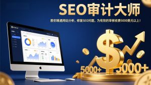 SEO审计大师:教你精通网站分析,修复SEO问题,为有效的审核收费5000美元以上!-识享社