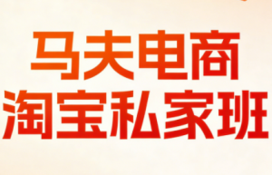 马夫电商·淘宝私家班(更新3月)-识享社