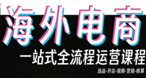 Demo老师·东南亚5国TikTok Shop运营课-识享社