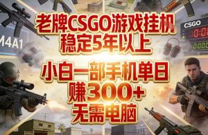 老牌CSGO游戏挂G，稳定5年以上，小白一部手机单日賺3张+，无需电脑【揭秘】-识享社