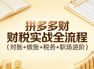 拼多多财税实战全流程(对账+做账+税务+职场进阶)-识享社