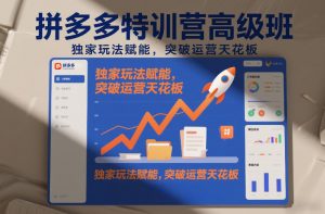 拼多多特训营高阶班，独家玩法赋能，突破运营天花板(更新26年3月13日)-识享社