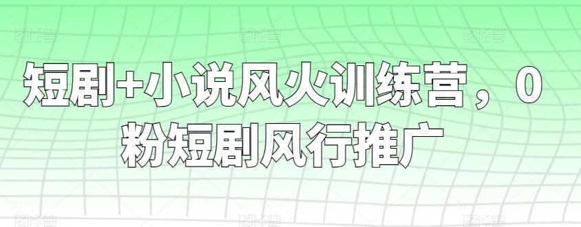 短剧+小说风火训练营，0粉短剧风行推广 - 识享社-识享社