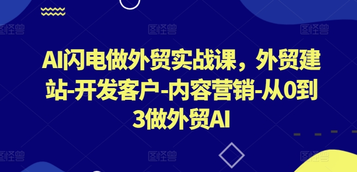 AI闪电做外贸实战课,外贸建站-开发客户-内容营销-从0到3做外贸AI(更新)-识享社
