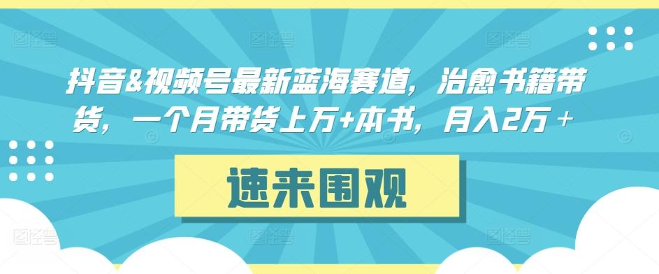 抖音&视频号最新蓝海赛道，治愈书籍带货，一个月带货上万+本书，月入2万＋【揭秘】 - 识享社-识享社