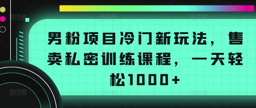 男粉项目冷门新玩法，售卖私密训练课程，一天轻松1000+【揭秘】 - 识享社-识享社
