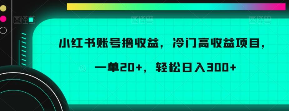 小红书账号撸收益，冷门高收益项目，一单20+，轻松日入300+【揭秘】 - 识享社-识享社