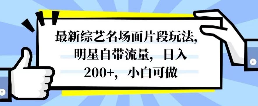 最新综艺名场面片段玩法，明星自带流量，日入200+，小白可做【揭秘】-识享社